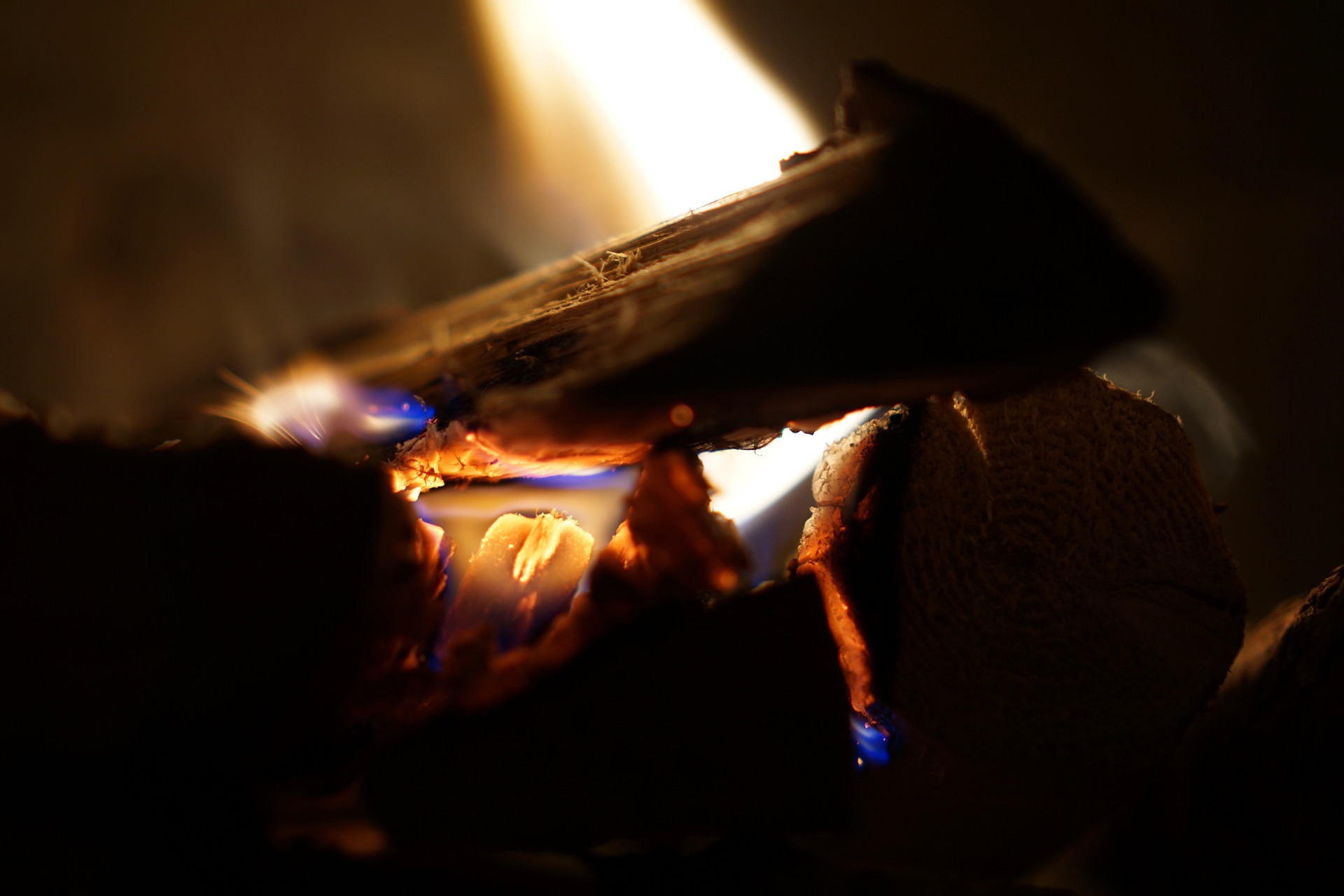 Desvelando los Secretos del Palo Santo: La Madera Sagrada que Transforma tu Espíritu